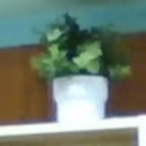 Meet your Posher, Maya